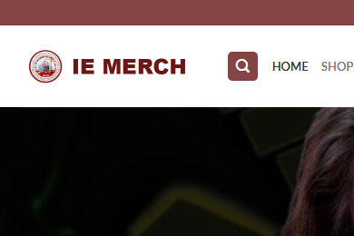 Wordpress - IE Merch